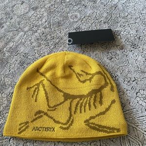 Arc’teryx Bird Head toque